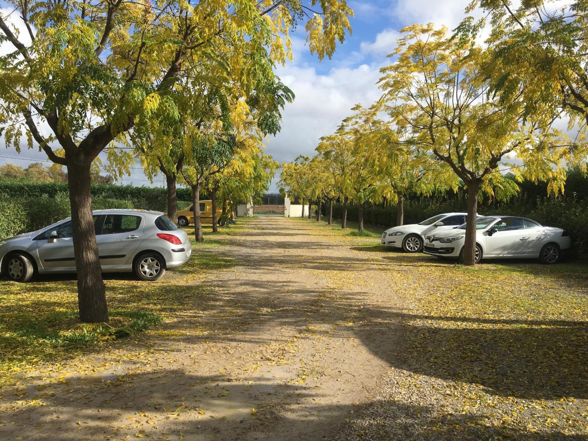 Chambres D'Hotes Avec Jacuzzi Et Piscine Au Mas De Cadoule Saint-Just  Eksteriør bilde